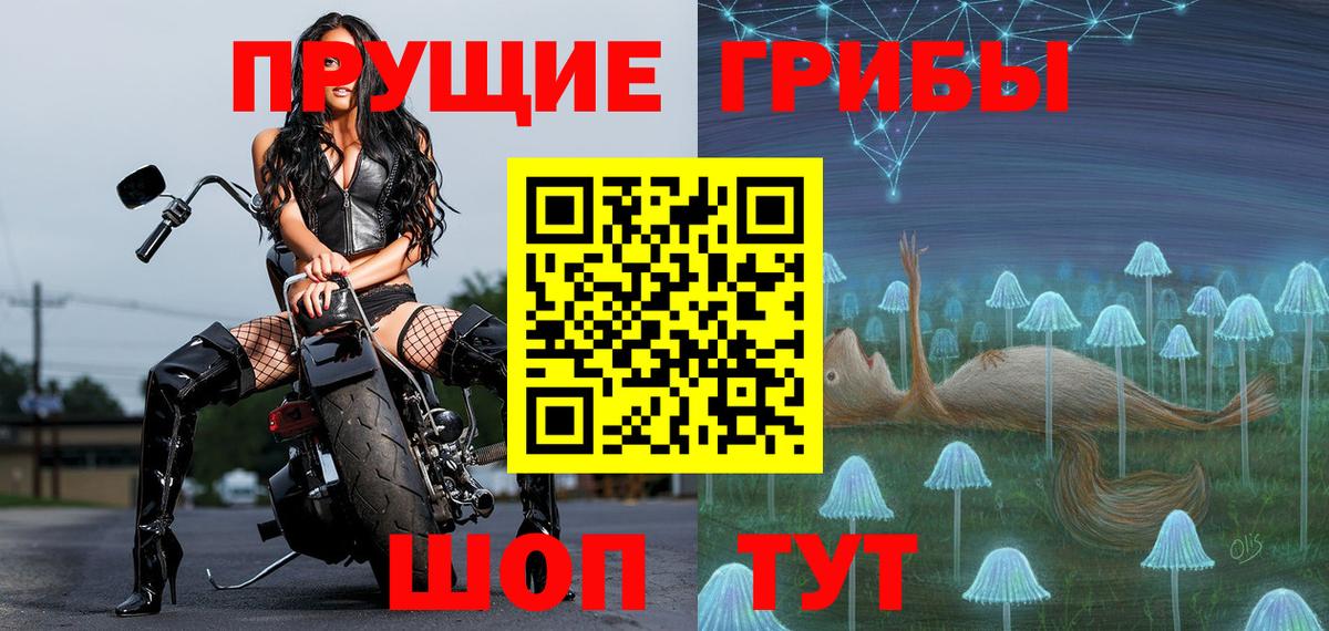 Псилоцибиновые грибы прущие грибы  Вход с VPN  Псилоцибиновые грибы GOLDEN TEACHER  Братск 